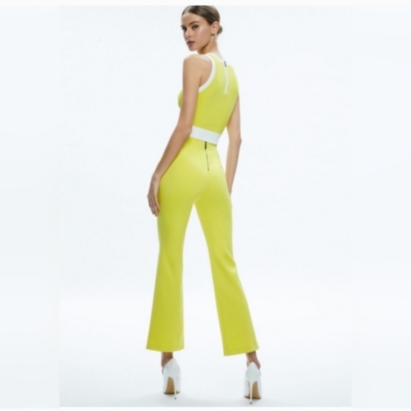 ALICE + OLIVIA RMP Mid Rise Back-Zip Bootcut Ankle Pant size 2 - Picture 9 of 15